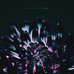 The Contortionist - Our Bones  CD